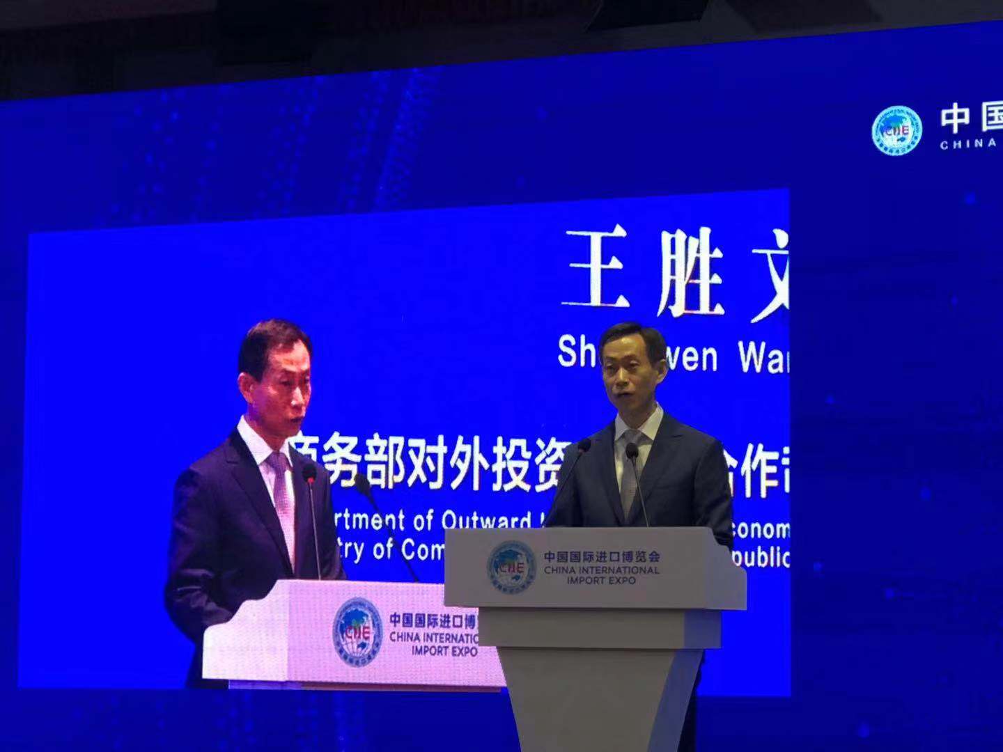 王胜文司长出席中国国际进口博览会配套活动